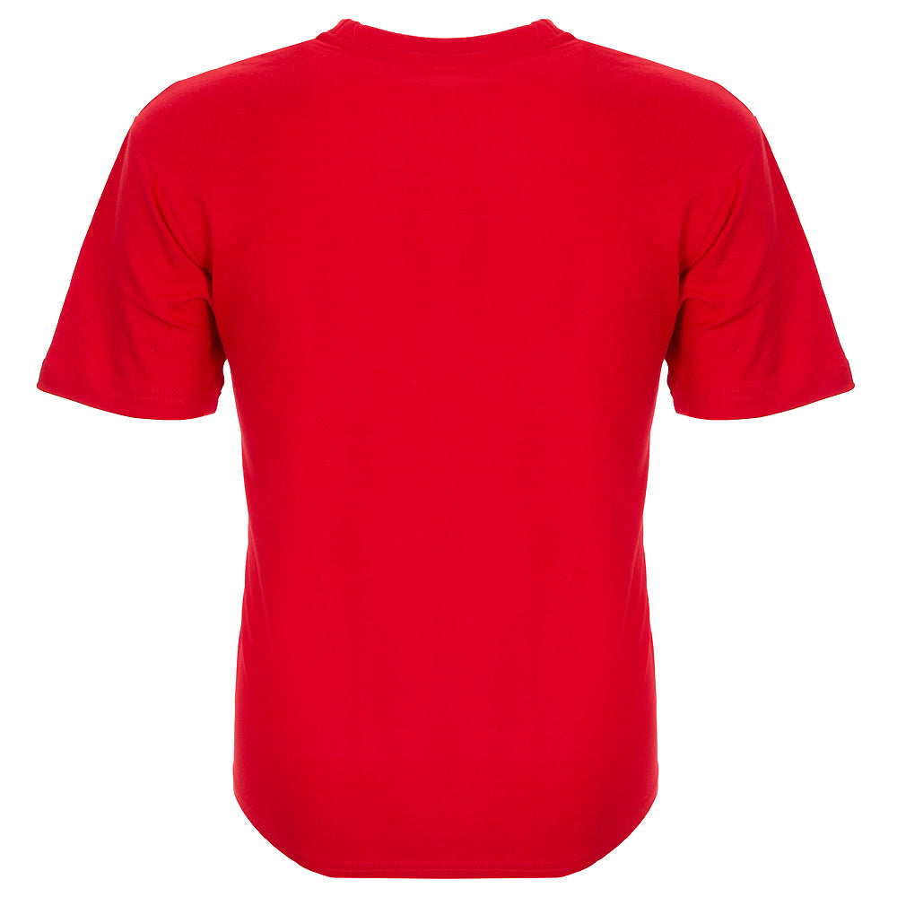 RED ROBINS PRINT TEE