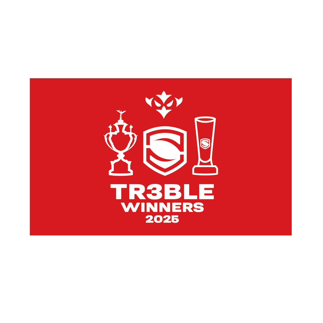 TREBLE WINNERS MEGA FLAG