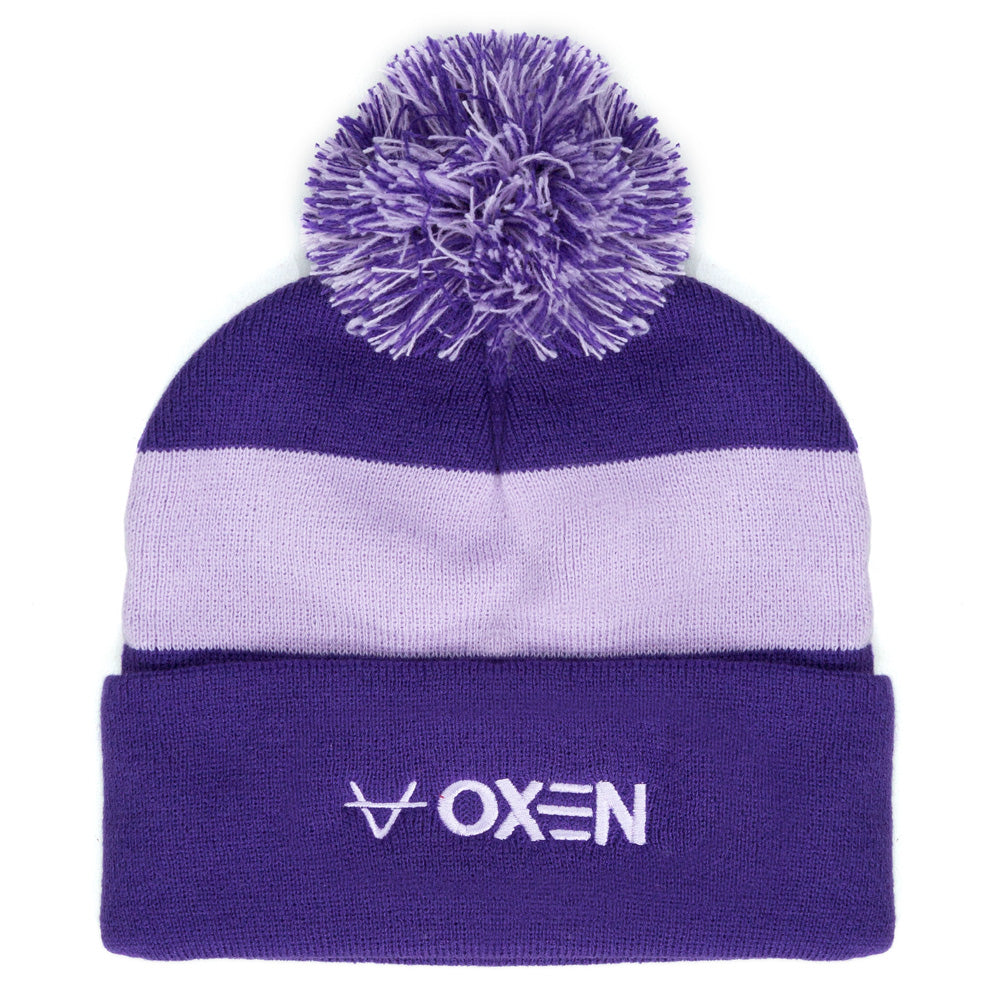 2025 VENN BOBBLE HAT