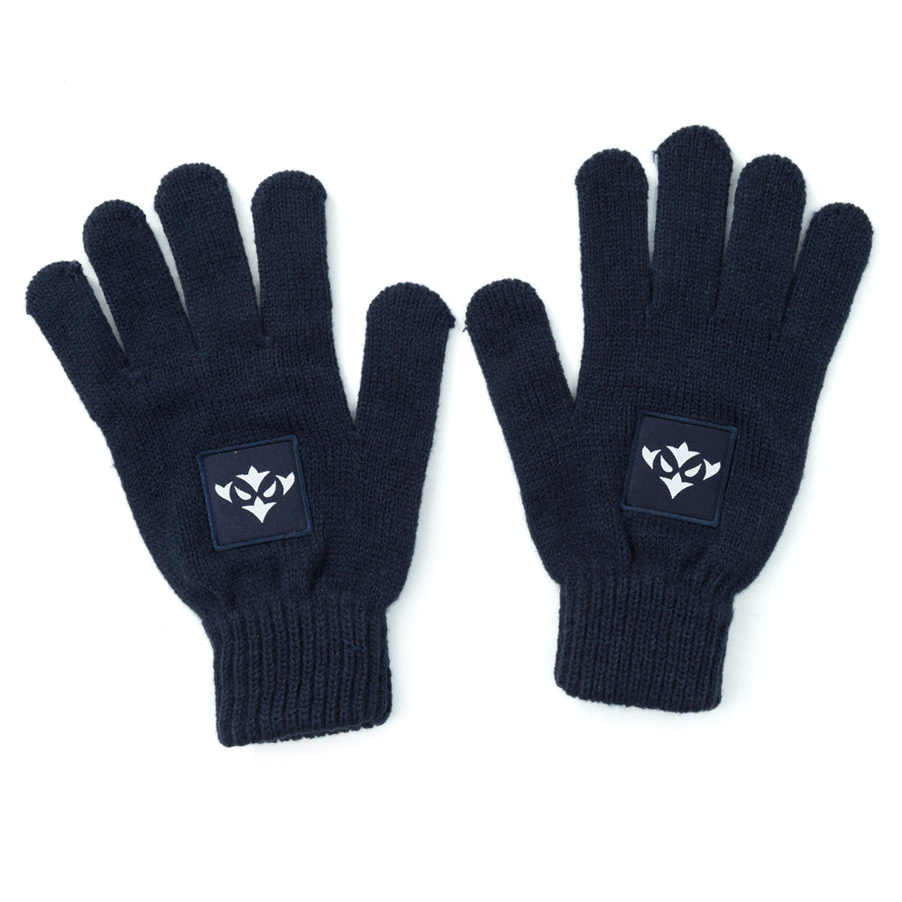 NAVY ICON GLOVES