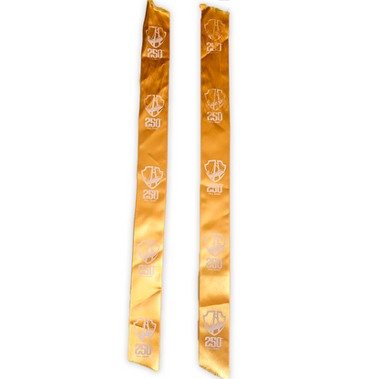 250th HULL DERBY TROPHY RIBBONS - AUCTION